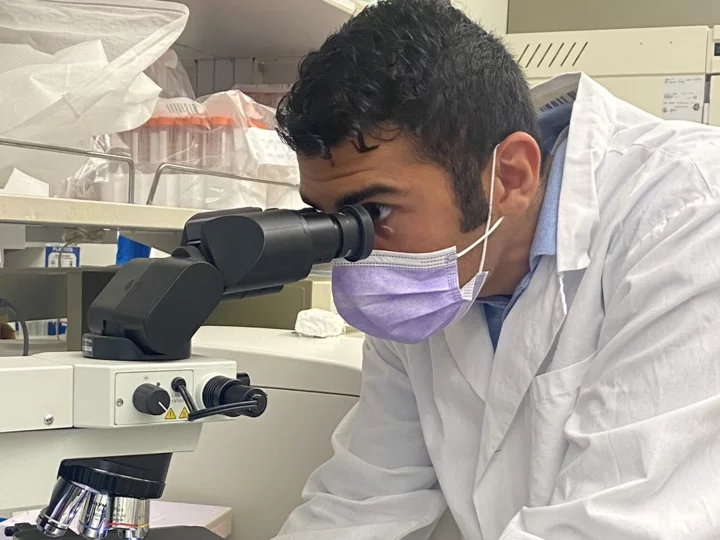 The Yang Lab